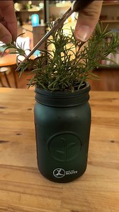 Crispy garlic rosemary potatoes - Raes the Roots limited edition hydroponic mason jars are now live! Thank yall so much for your continous support! It truly means the world to me. I literally can’t put into words how grateful I am for this little community we have here! | Trazia Rae