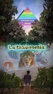 La taxonomía y su importancia #biology #ciencia #naturaleza #taxonomia