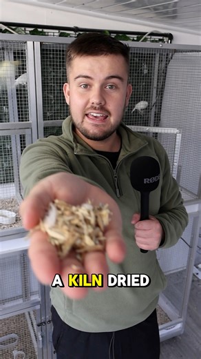 35K views · 664 reactions | What substrate do you use on the floor of cages & aviaries? ️ | OC Aviary | Facebook