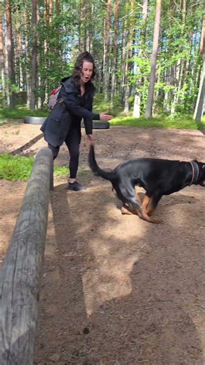 Rottweiler Ellin jumppahetki