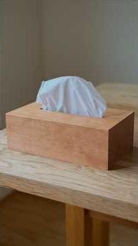 First Time Making a Wooden Tissue Box #shorts #woodworking #diy