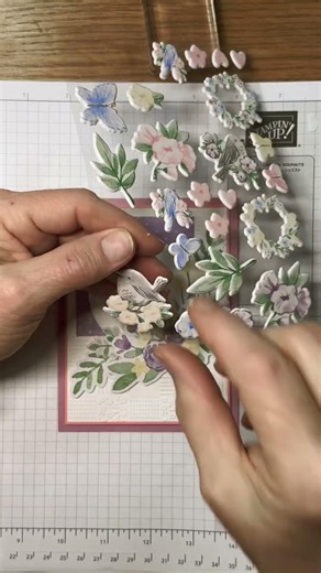 Stampin Up//Reason to Celebrate//Addressed to You//Sneak Peek//Birthday//#Shorts//Jan-Apr 2026 Mini