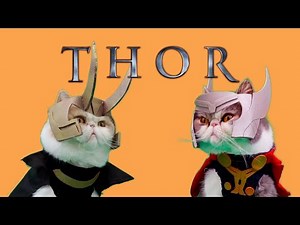 Thor and Loki Trailer | Cat Avengers