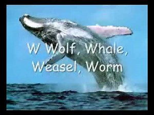 The Animal ABC Song For Kids l Connor Hill