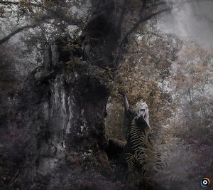 Rúnahild | Lyrics, Song Meanings & Music Videos