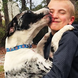 Watch this kid help a shelter dog find the perfect home 😍 | The Dodo