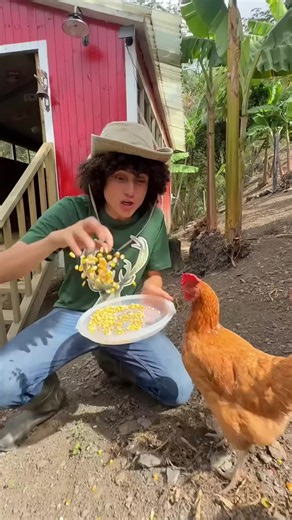 Borrego: vlog POV en granja