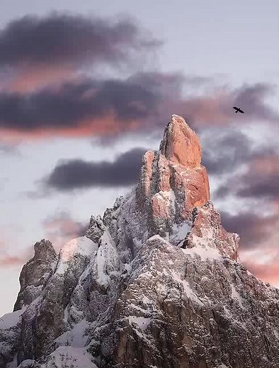 tdameritrade solitaire 247!