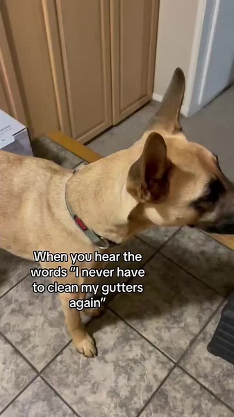 Flawless Gutter Screens: Enhance Your Home's Protection