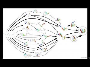 Происхождение марковских цепей