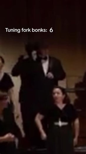 Tuning Fork Bonks: A Fun Fact from Music School