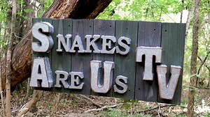 Do possums bite? Let's Find out! 😂🤣😂 Full video at SnakesAreUsTV | Southeastern Reptile Rescue