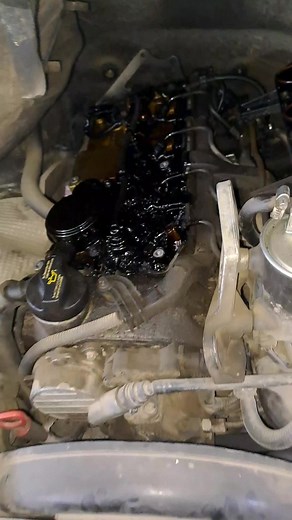 Відео користувача Stepan (@stepan.kovach) з композицією «оригінальний звук - Stepan»