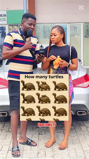 137K views · 756 reactions | How many turtles are here ??樂樂 | Sparrows TVs | Facebook