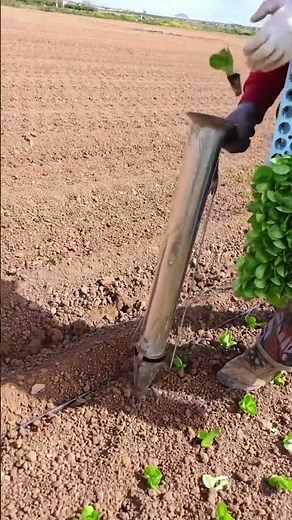 Revolutionizing Agriculture: Fast and Efficient Manual Seedling Transplanter in Action