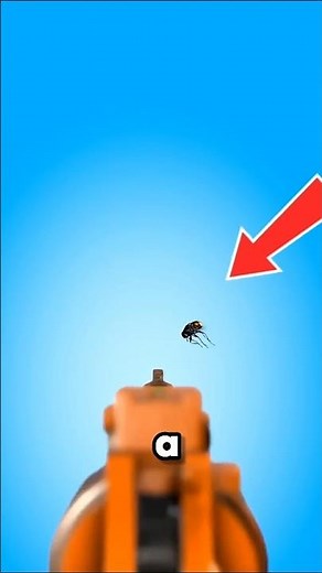 This gun kills flies by shooting salt 😳🪰