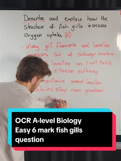 OCR A-level Biology - Easy 6 mark fish gills question #joedoesbiology #myedspace #biology #alevels #erc
