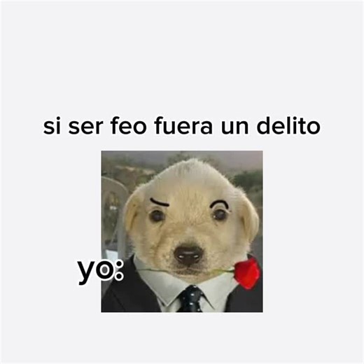 Perro Chileno Meme: Jotchua y su Risa