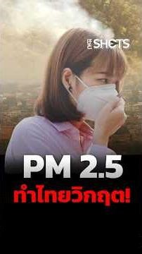 Foreign media outlets are reporting on Thailand's PM2.5 crisis, viewing it as a humanitarian disa...