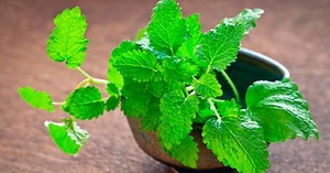 10 mejores hierbas y tés para eliminar gases intestinales