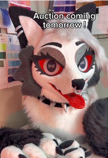 Loona's Furry Auction Tomorrow!