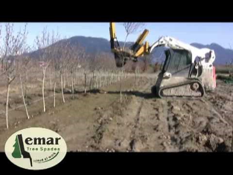 Lemar Tree Spades 500 Series Compact Spade