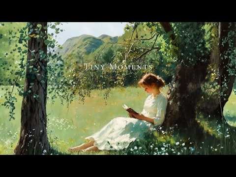 a calm piano playlist for reading, studying or writing