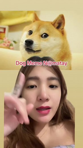 Tribute to Cheems: Remembering the Iconic Dog Meme