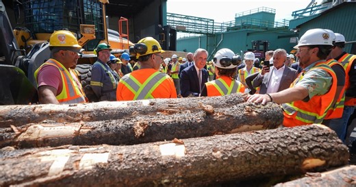 Doman Building Materials sees record revenue increase