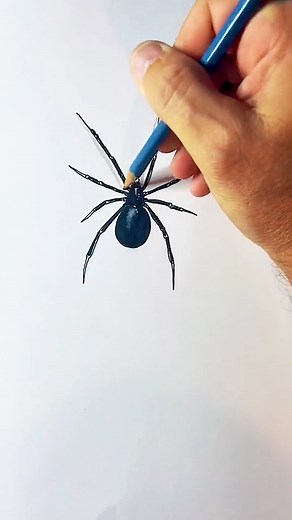How to draw a realistic spider! #drawingtutorial #spiderart #creepy #arachnophobia #art. | Super