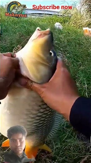 wild fishing 🎣 net fishing man fishing ideas 💡