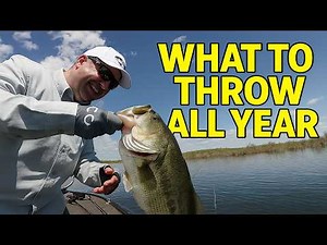 The Best Bass Lures That Work All Year