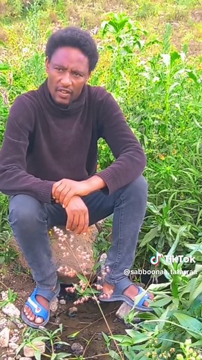Jajjabee: Sabboonaa Tafarraa Muuziqi Oromo