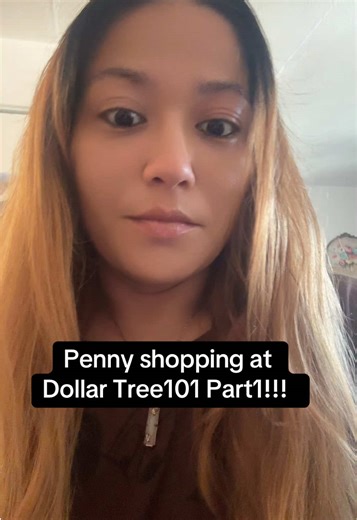 Penny Shopping at Dollar Tree: Tips and Tricks
