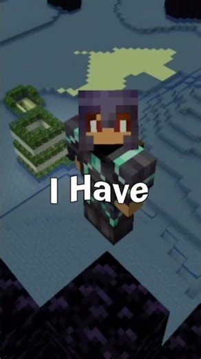 We Flooded The End Dimension In Minecraft