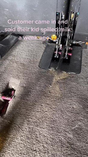 Effective Tips to Remove Spilled Milk from Carpet