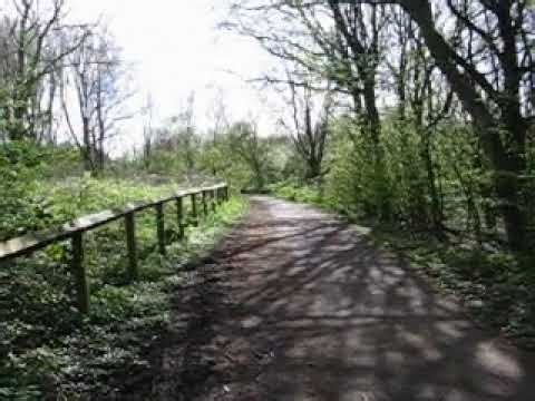Canon Powershot a520 digicam video test