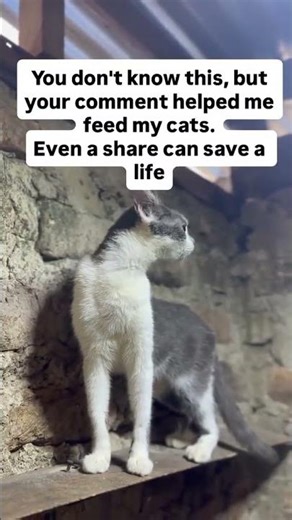 Any kind of donation will be welcomed via PayPal link in bio,kindly donate please🙏🏻🙏🏻