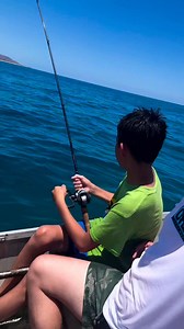 Pesca de cochis. En el cardonal. #elgustodepescar #pescadeportiva #fyp #pesca #BCS | Seve Rodriguez