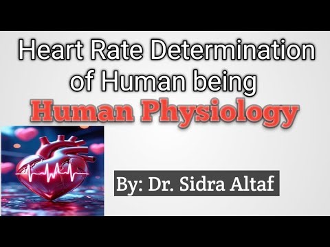 Heart Rate Determination of Human being | Auscultation method | Physiology lab demo