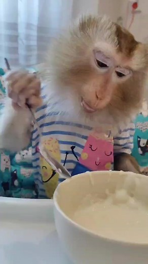 Відео користувача xodr (@.xodr) з композицією «оригинальный звук - xodr»