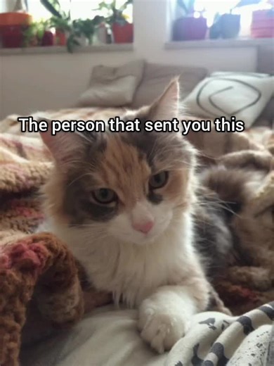 Discovering New Meanings in Life Through Humor