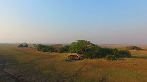 We're excited to announce that our Busanga Plains Camp is officially open for the season! Here's a sneak peak at what our Full Kafue Experience has to offer! | Mukambi Safaris