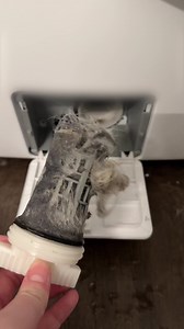 You can’t see it, but your washer could be harboring hidden bacteria and mold that transfer onto your clothes. This isn’t just about clean laundry—it’s about protecting your health - especially your lungs. The air you breathe, from the clothes you wear, could be impacted by lingering buildup in your washer. Uproot Washing Machine Cleaner Tabs give your washer the deep clean it needs to protect you from invisible dangers. Clean your machine, protect your lungs, and feel fresher every day. | Uproo