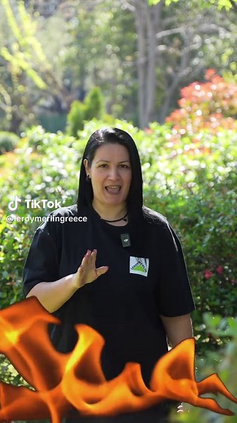 Αξεσουάρ ψησίματος από LEROY MERLIN