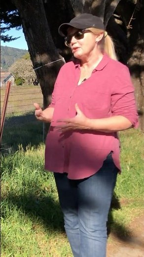 Build Confidence with Plein Air Painting: Easy Tips for Beginners