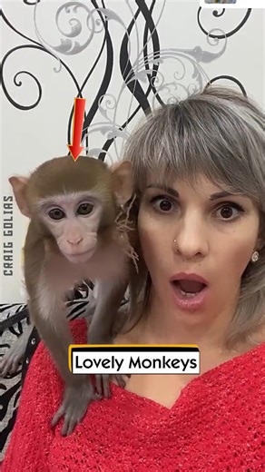 1.2K views | Lovely Monkeys | Craig Golias - Bodybuilder & Model | Facebook