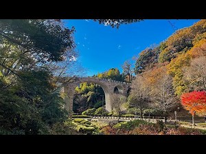 【神奈川県絶景スポット】七沢森林公園でリフレッシュ！癒しのハイキング体験