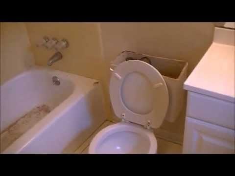 Tub to Shower Conversion