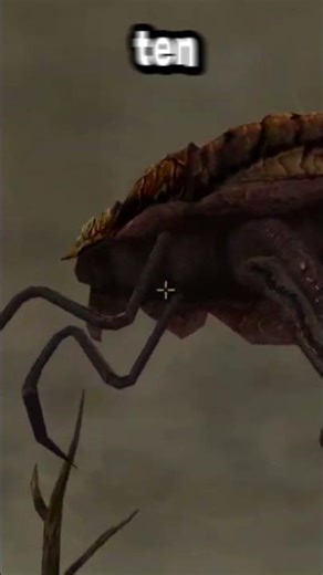 Łaziki są Cute! #Shorts #morrowind